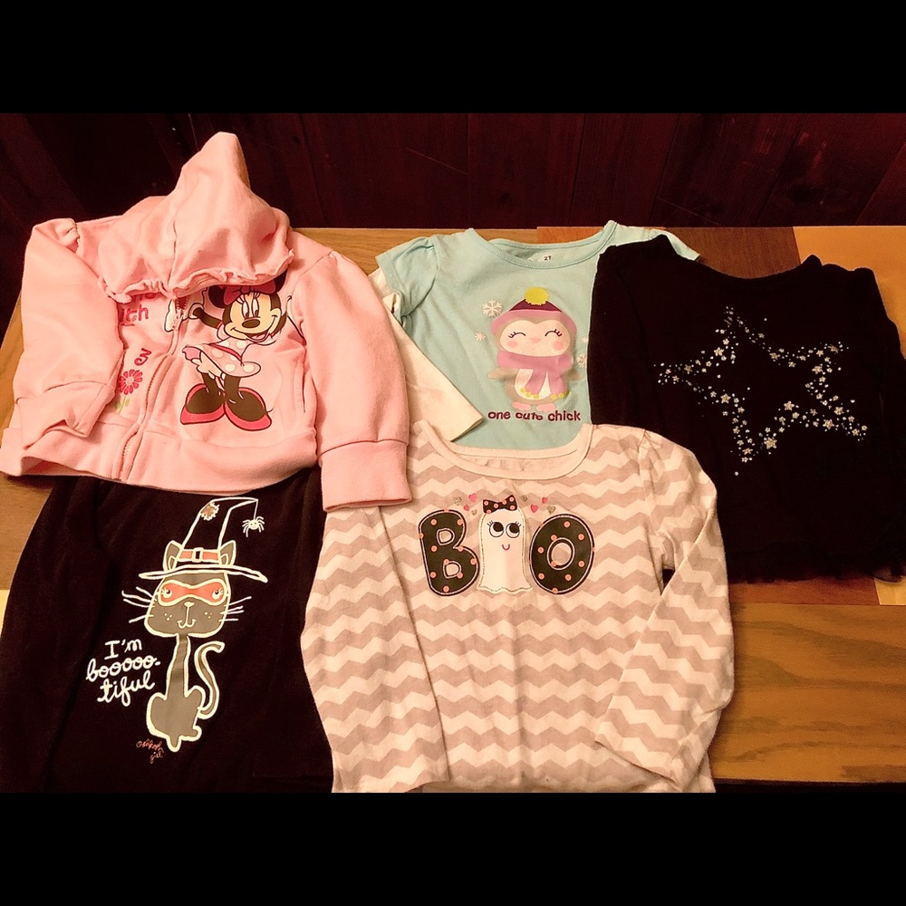 2T and 24mo Toddler Girl Tops